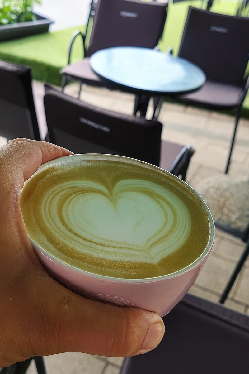 Ljuljačke ispod stare lipe